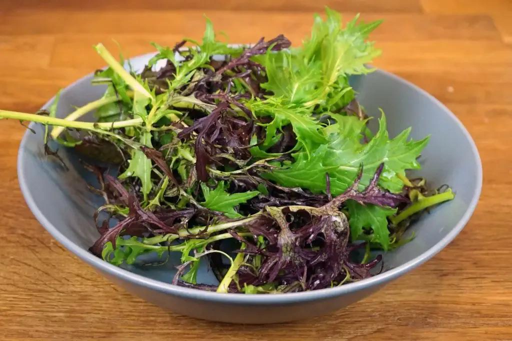 Auberginen-Röllchen mit Shiitake-Pilzen und Asiasalat - Der Bio Koch