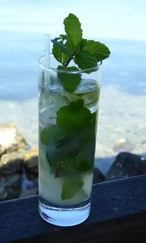 Wassermelonen Mojito – Cook &amp; Taste