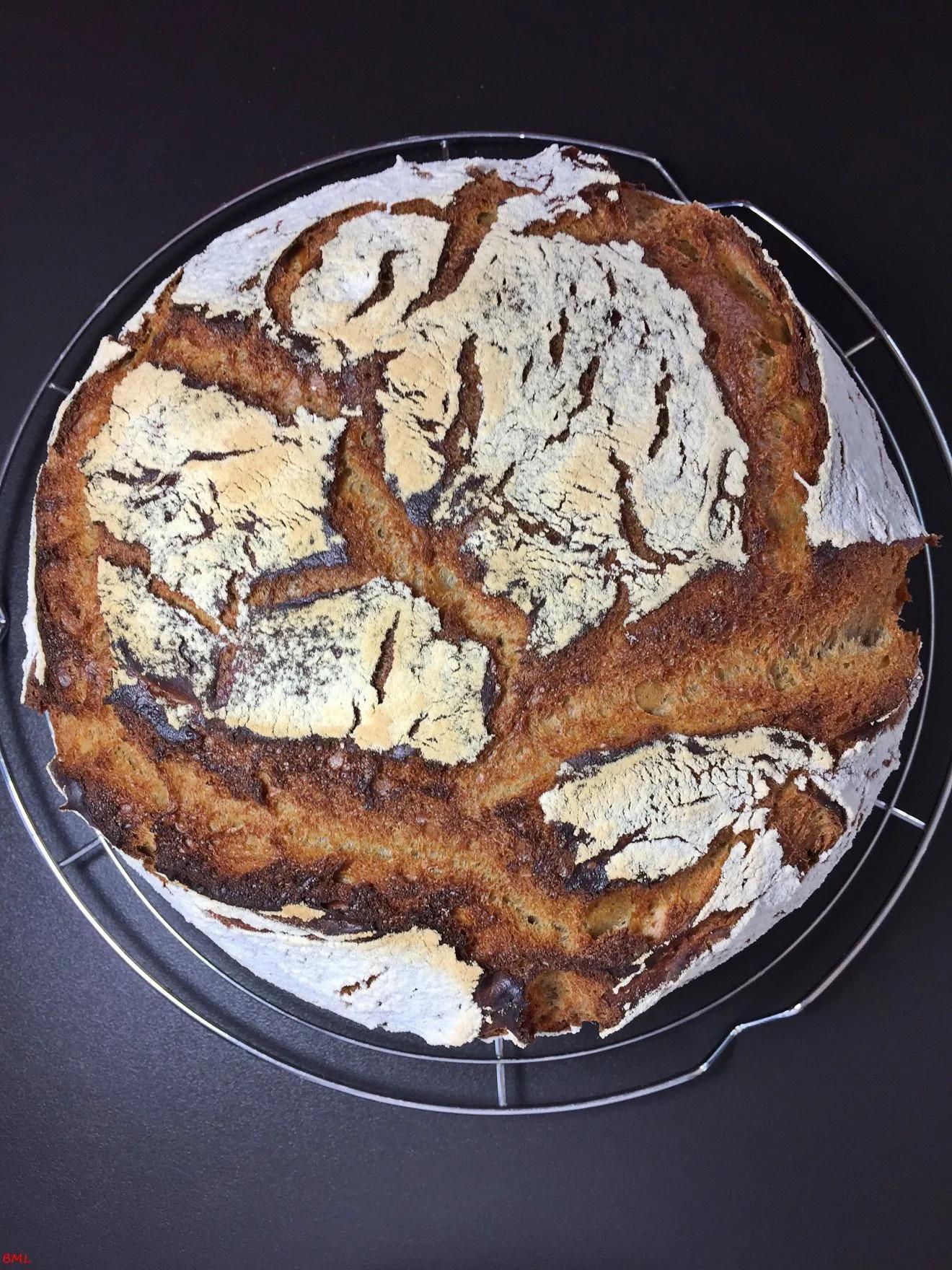 Weizenmischbrot mit Sauerteig…im Topf gebacken | Brot backen rezept ...