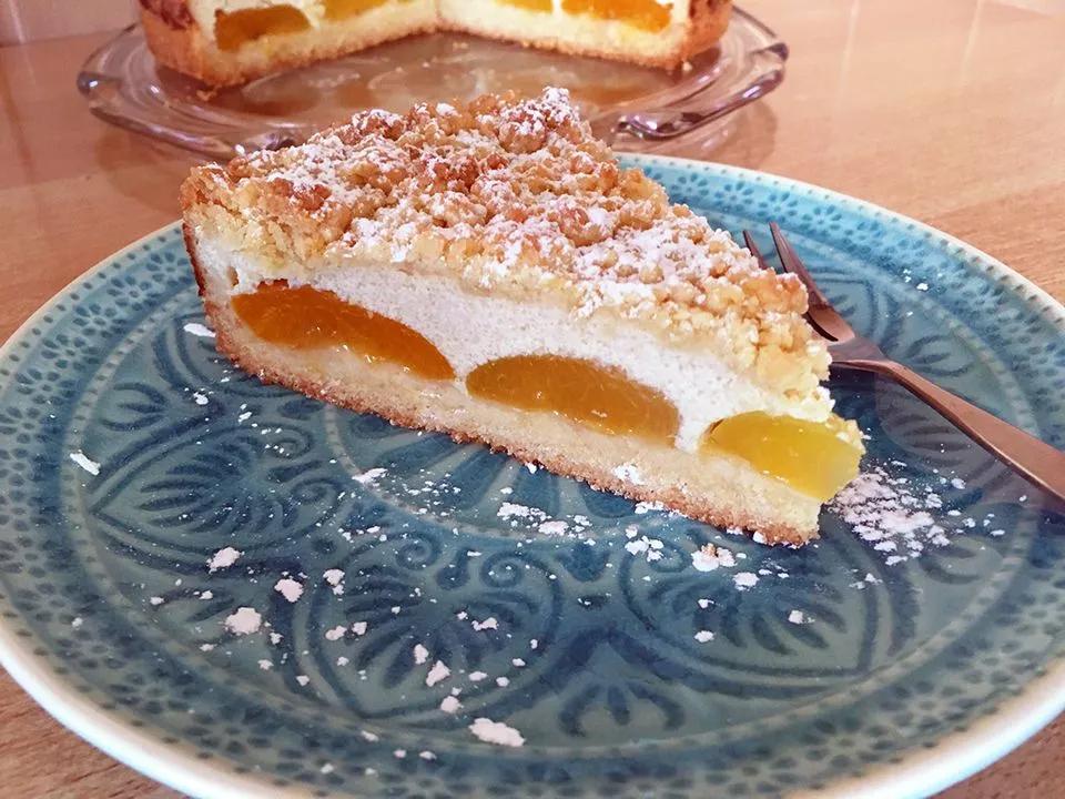Aprikosen-Quark-Kuchen | Lebensmittel essen, Veganer käsekuchen, Kuchen