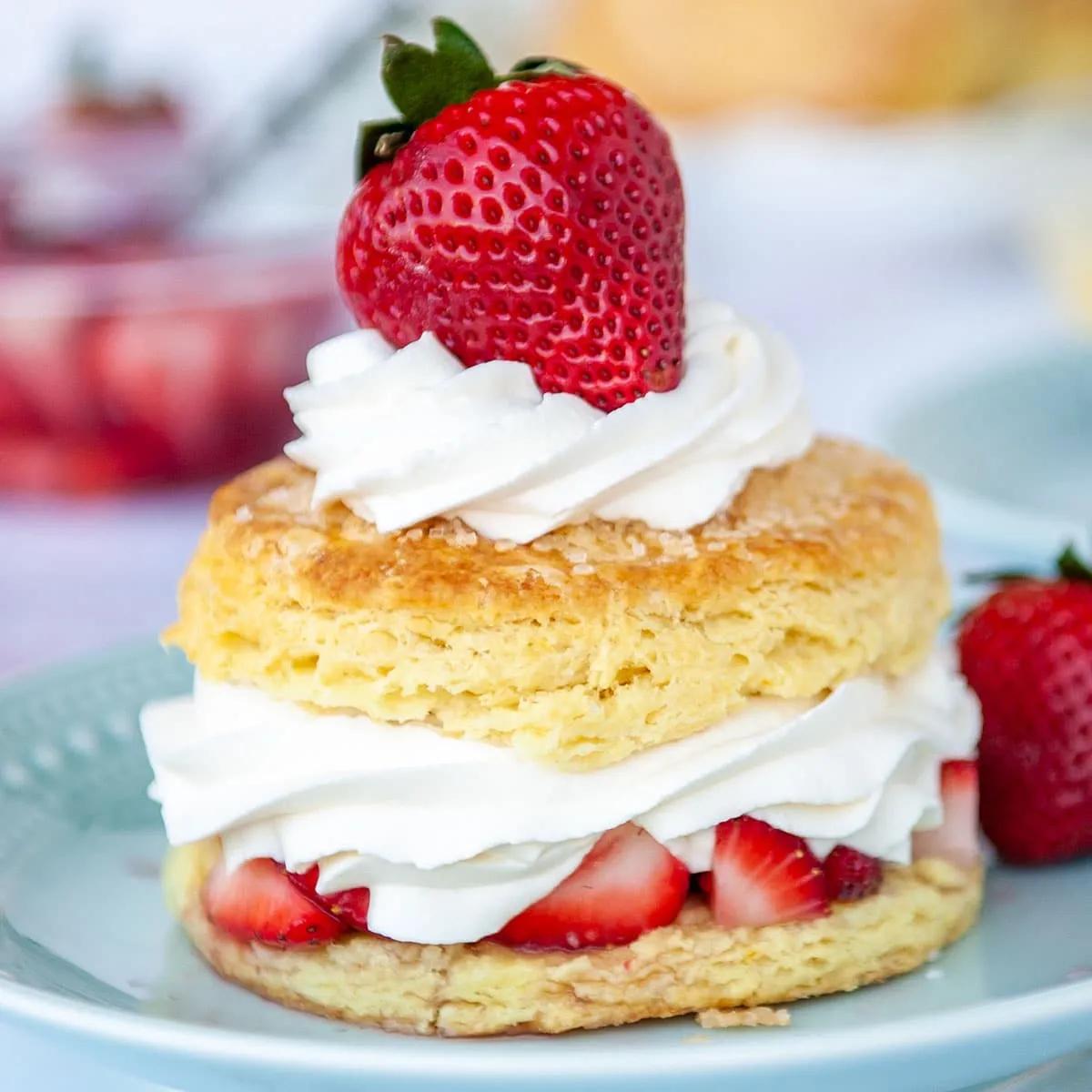 Azeroth’s Greatest Dessert. Strawberry Shortcake - General Discussion ...
