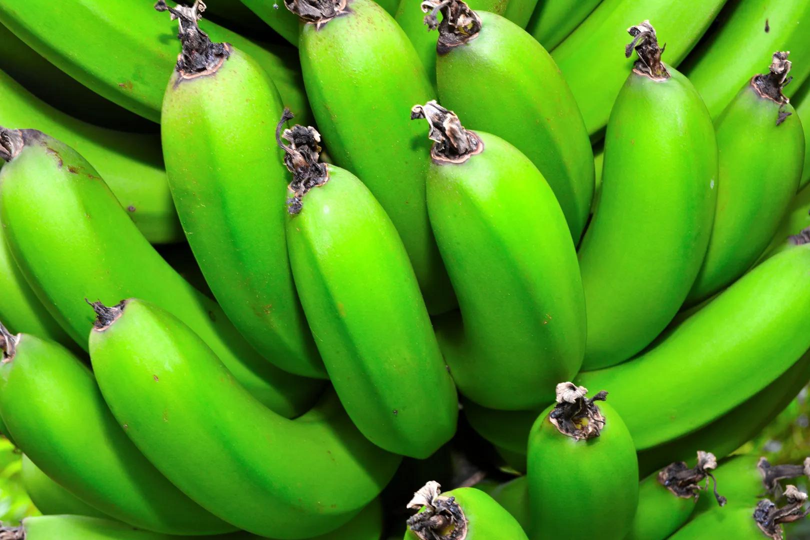 grüne Bananen Foto &amp; Bild | pflanzen, pilze &amp; flechten, früchte und ...