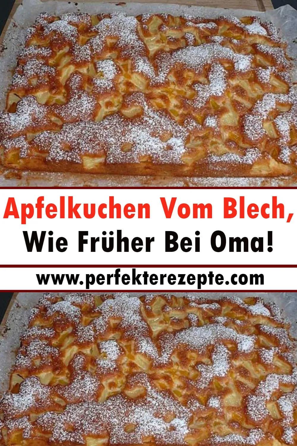 Apfelkuchen Vom Blech Rezept, Wie Früher Bei Oma! - Schnelle und ...