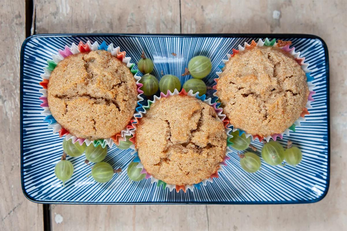 Sommerliche Grieß-Muffins mit Stachelbeeren | Back dein Brot