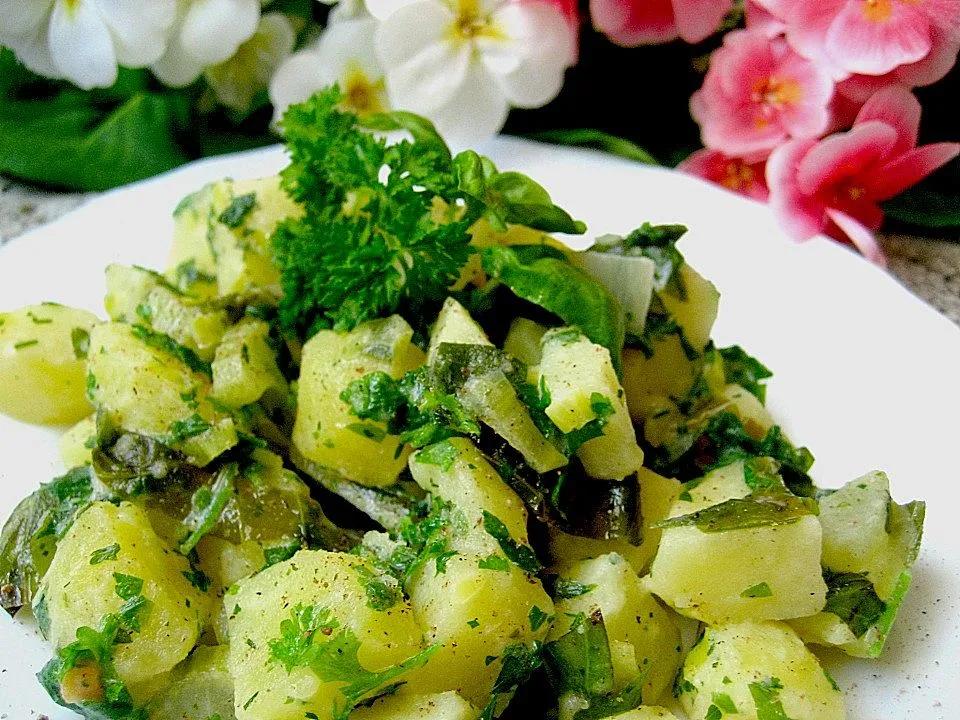 Sahnekartoffeln im Gartengrün von Apfelzweig| Chefkoch