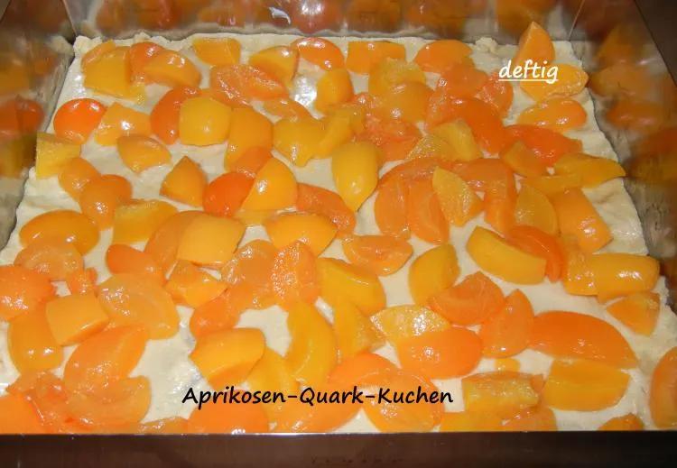 Aprikosen-Quark-Kuchen | Kochmeister Rezept