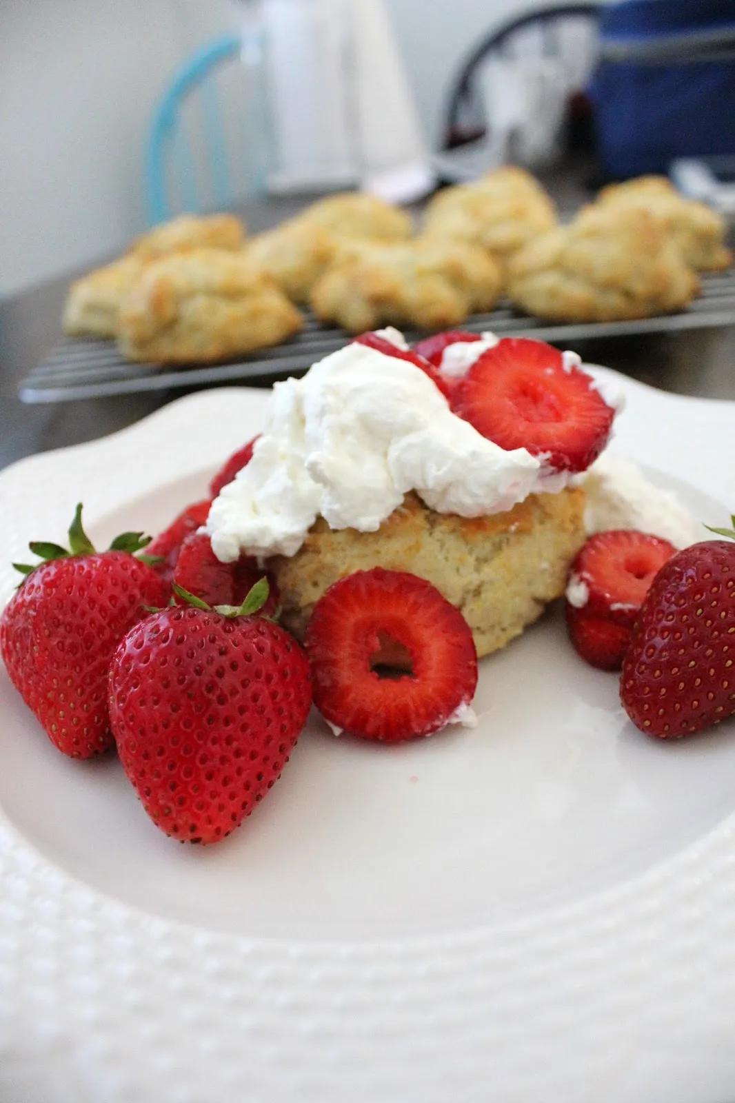 Strawberry Shortcake | Fresh from the...