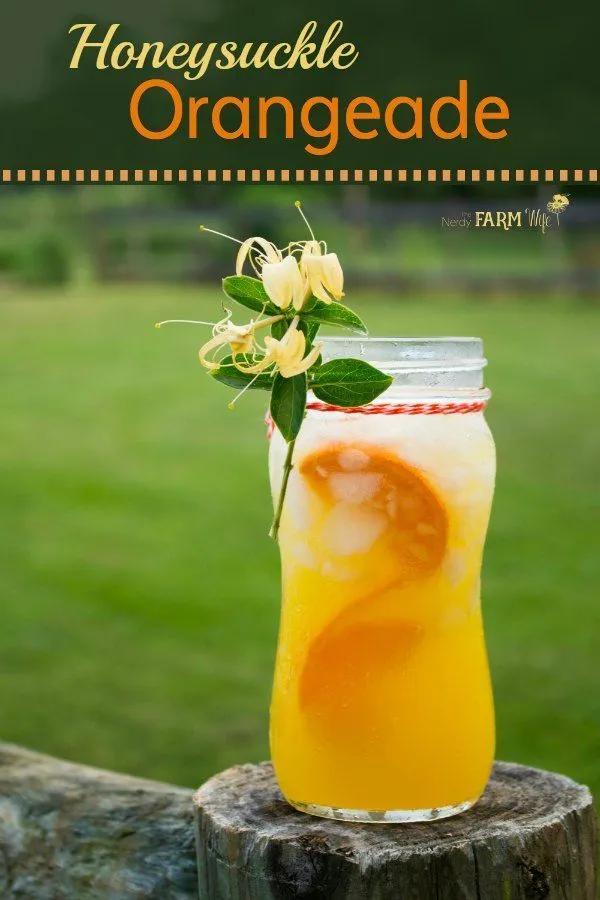 Honeysuckle Orangeade Recipe | Orangeade recipe, Herbal teas recipes ...
