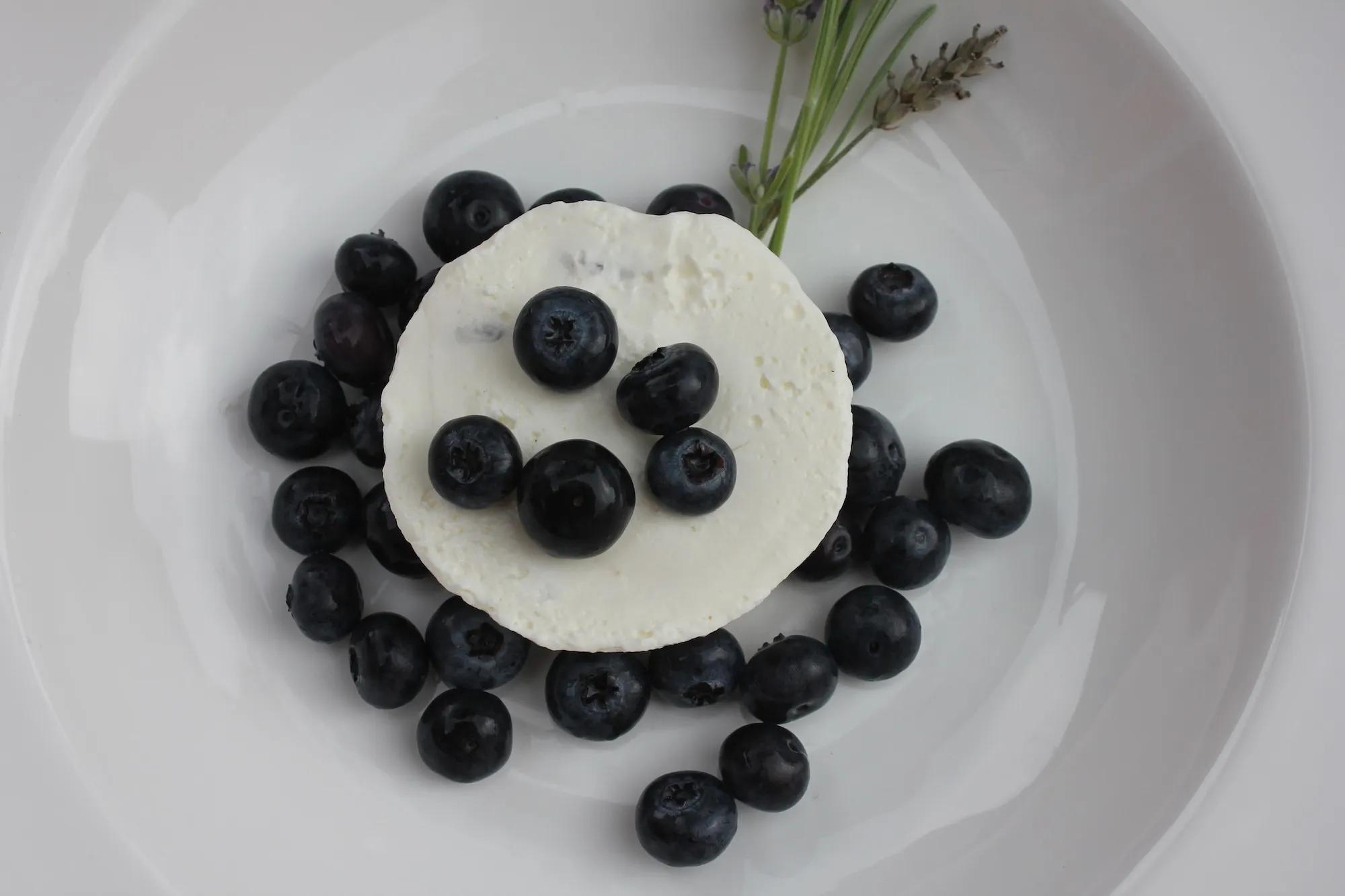 Blaubeer-Lavendel Cheesecakes - Siamo ció che mangiamo - Food Blog