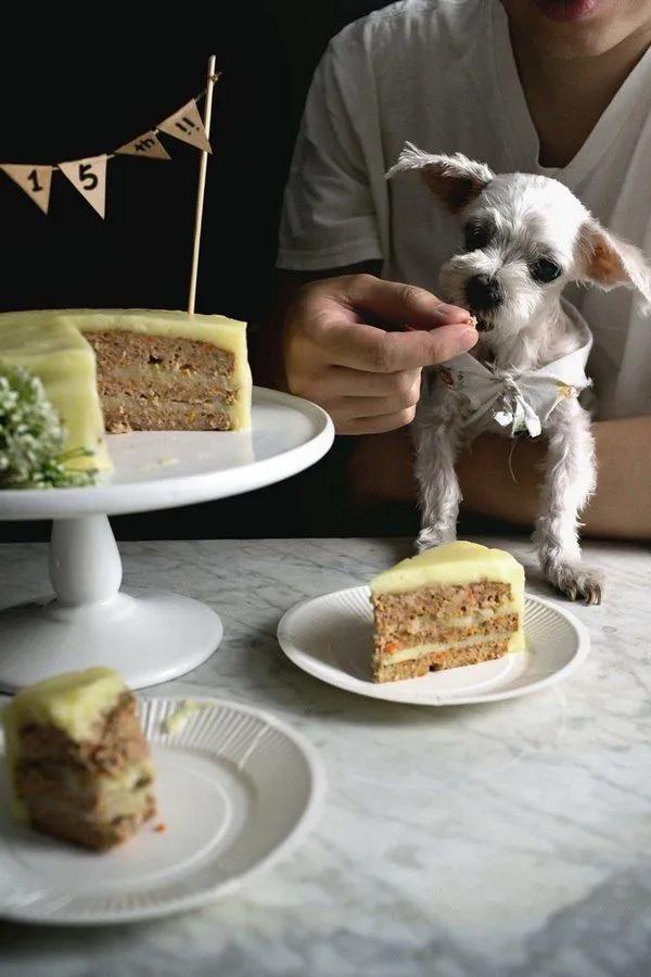 Adorable dog birthday cake ideas – make a special gift to your pet ...