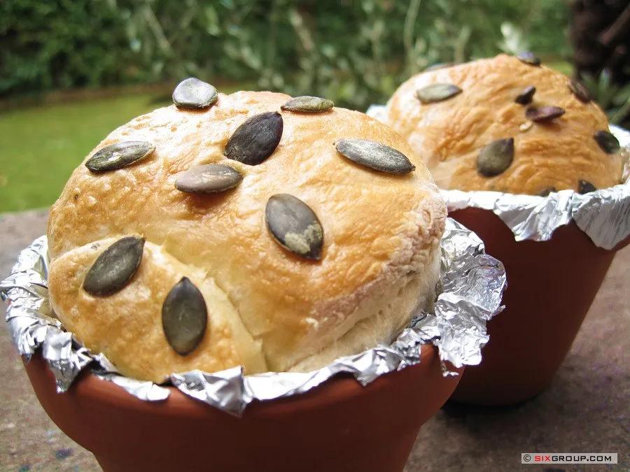 Brote - Kürbiskernbrötchen im Blumentopf - www.muffin.it : Koch- und ...