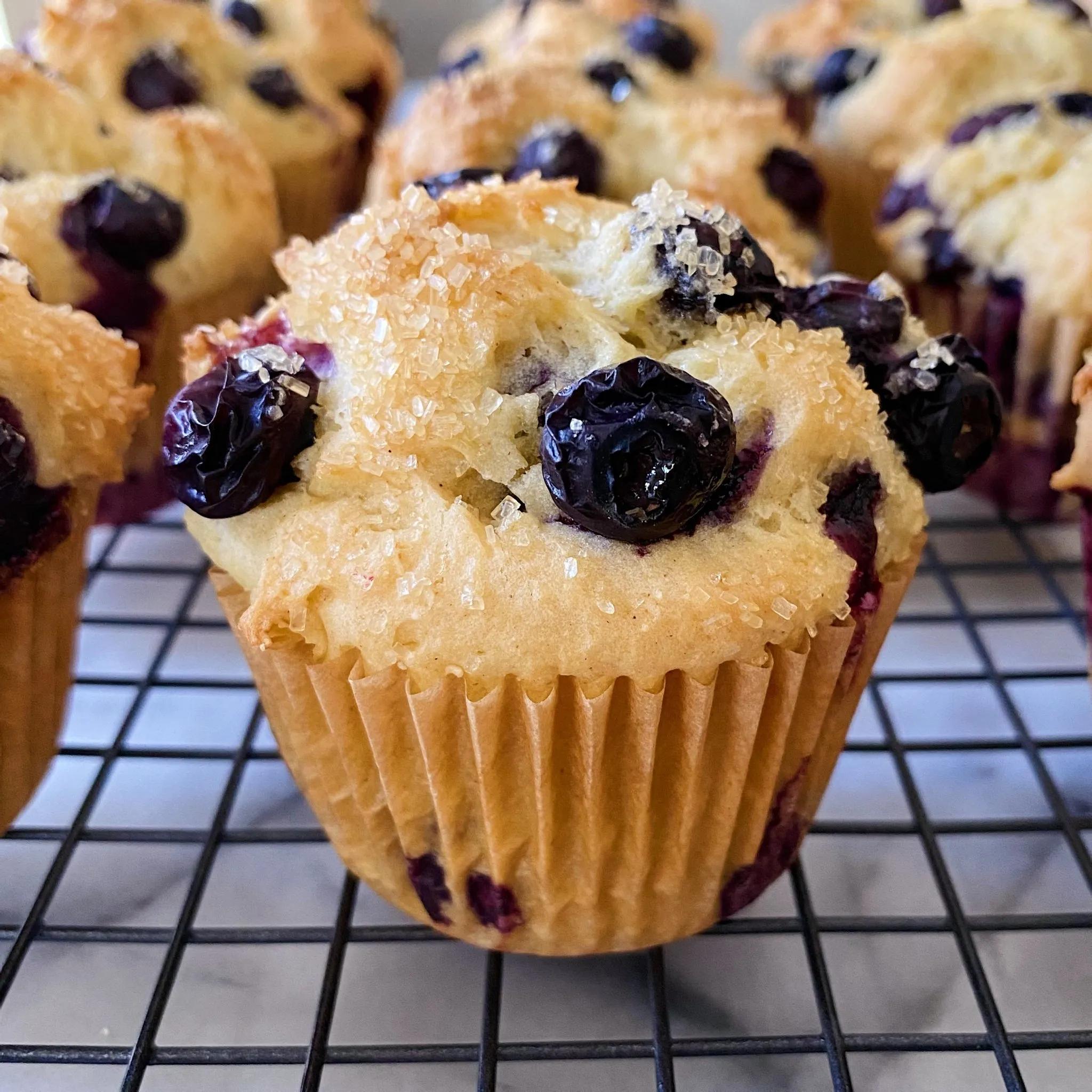 The Best Blueberry Muffins – healthyGFfamily.com