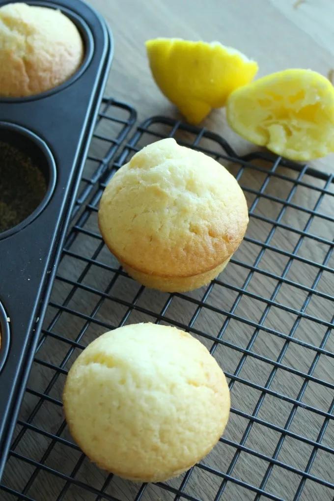 Zitronen-Buttermilch-Muffins zum sofortigen Vernaschen