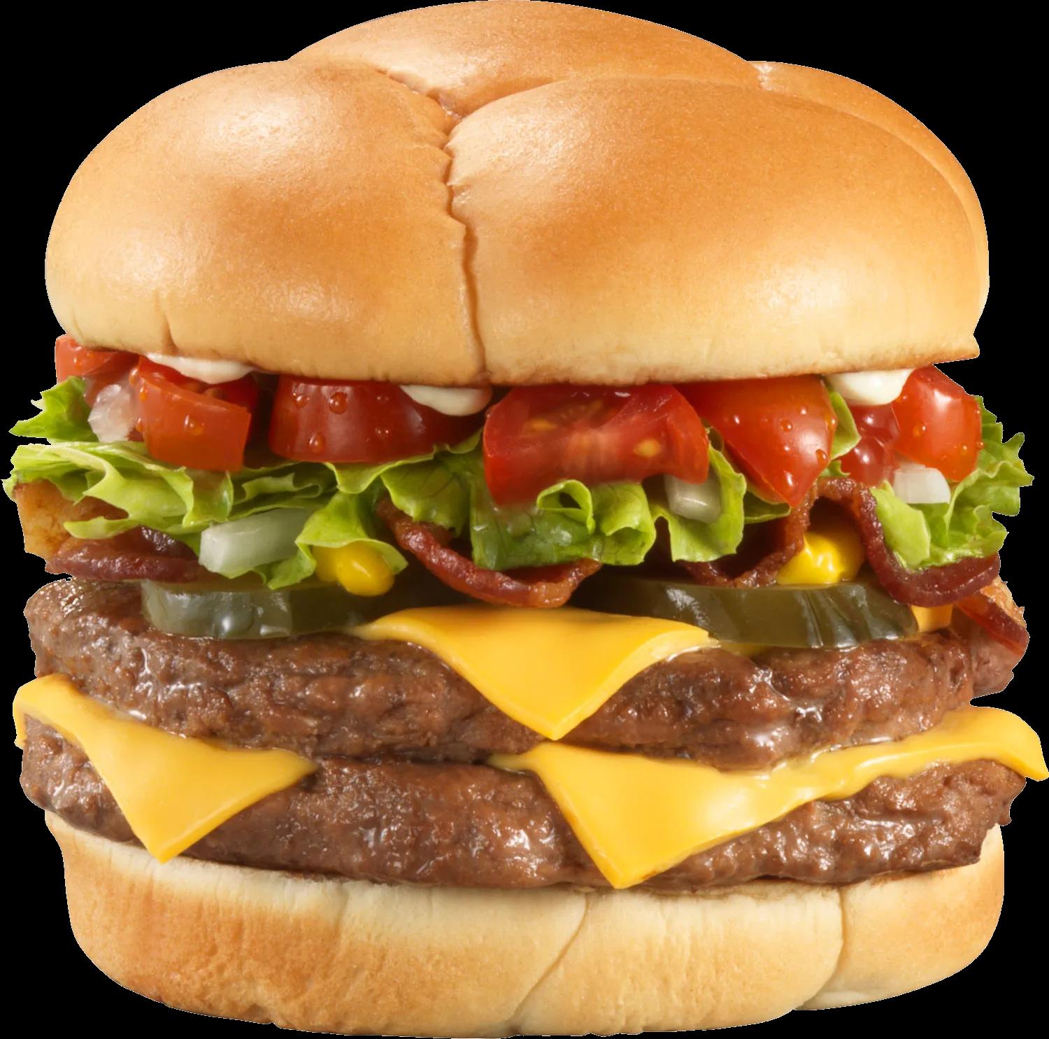 hamburger, burger PNG image
