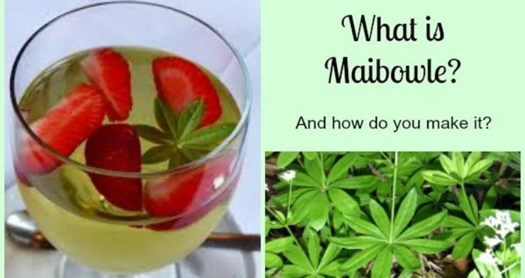 What is Maibowle? A Refeshing Wine Punch from Germany!