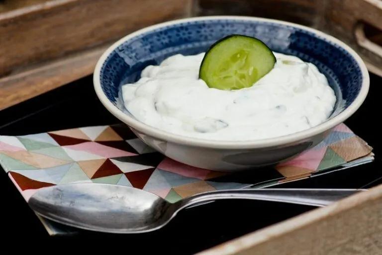 Einfaches Tzaziki Rezept mit griechischem Joghurt