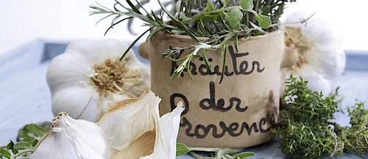 Kräuter der Provence | aromatische Kräuter aus der Provence
