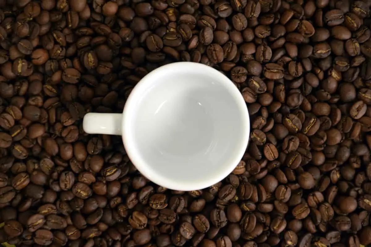 Free picture: bean, caffeine, dark, cappuccino, drink, espresso, coffee