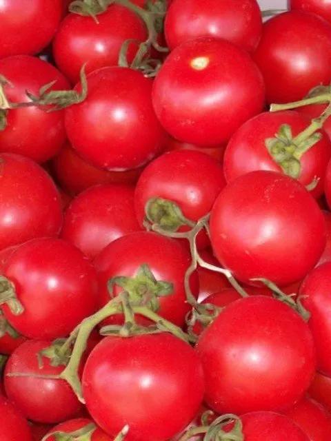 Klare Tomatenessenz | Kochen für Angeber