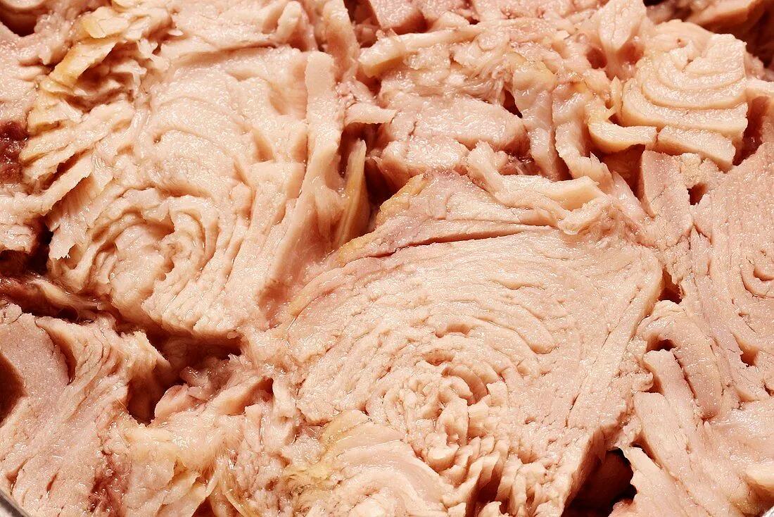 Thunfisch aus der Dose (Detail) – Bilder kaufen – 979657 StockFood