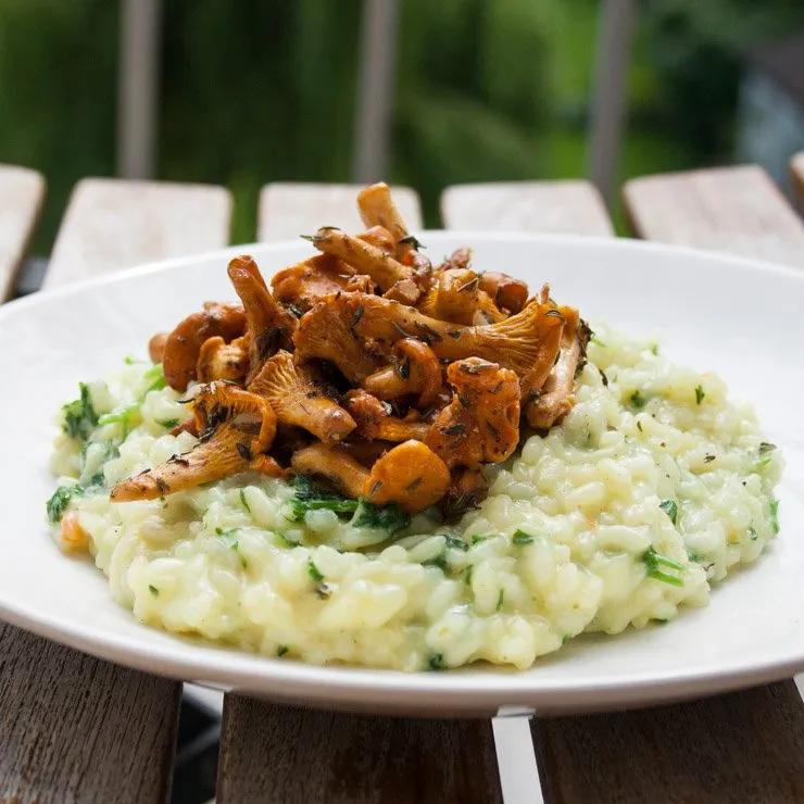 Risotto mit Pfifferlingen - VvOW