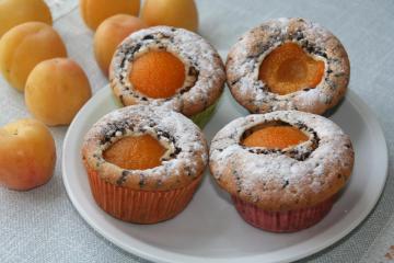 aprikosen schokoraspel muffins
