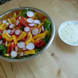 bunter salat mit grapefruit joghurt dressing