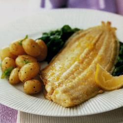 dover sole gegrillte seezunge auf englische art