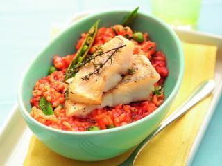 gebratener zander auf tomaten risotto