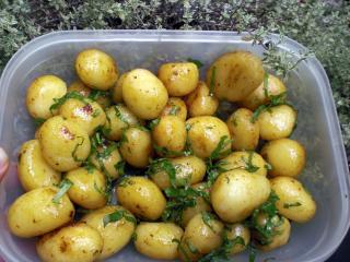 haselnusskartoffeln patate avellana