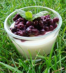 joghurt dessert mit beeren