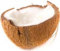 kokoseis low carb geeignet