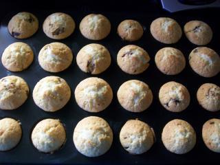 mini stracciatella muffins