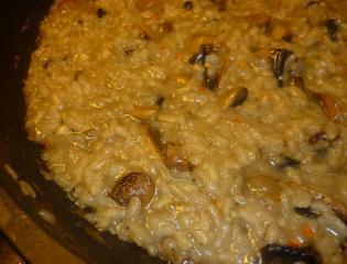 pilz risotto mit wein