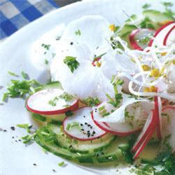 radieschen rettich salat auf gurke