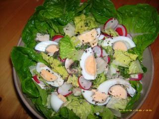radieschensalat mit eiern