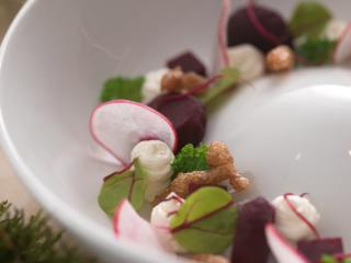 rote bete salat mit snøfrisk