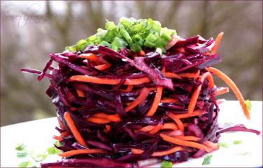 rotkohl salat mit karotten