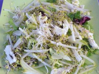 sprossensalat mit gorgonzola und birne