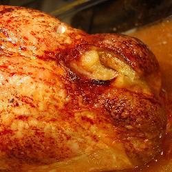 truthahn turkey thanksgiving