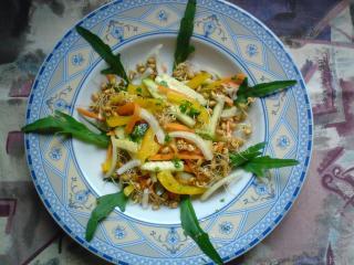 zucchini karotten paprika rohkost mit weizenkeimen