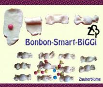 bonbon smart biggi
