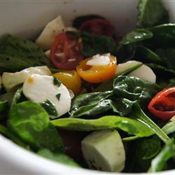 caprese salat mit spinat