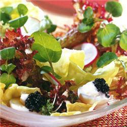 gemischte blattsalate mit wachteleiern und kaviar