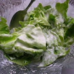 grüner salat auf norddeutsche art
