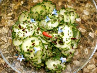 gurken kräuter salat