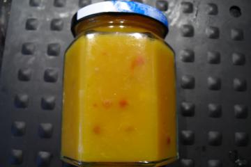 mango aprikosen chutney
