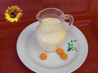 orangen joghurt dressing