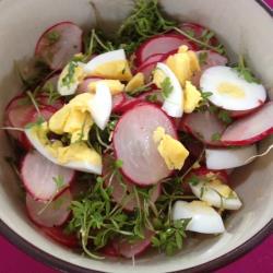 radieschensalat mit ei und kresse
