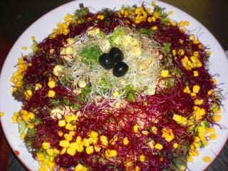 salat mit rote bete sprossen und alfalfa sprossen